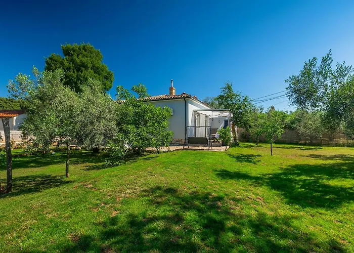 House Chill Out Loborika Hébergement de vacances